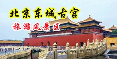 用力啊啊好大逼逼流浆了要射了私密视频中国北京-东城古宫旅游风景区